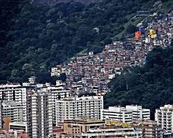 Latin American squatters image