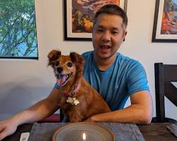 dog and owner celebrating a birthday with a cakeの画像