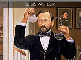 Image result for louis pasteur