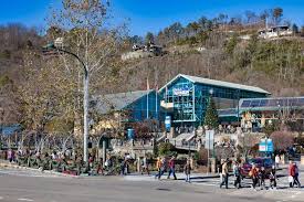 Wave of Swatting Incidents Targets Zoos and Aquariums