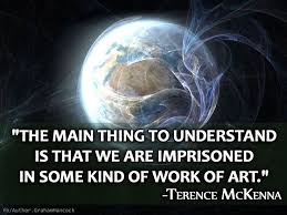 Terence McKenna | ♫~A Pause Between Changes~♫ | Pinterest via Relatably.com