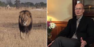 Image result for cecil lion