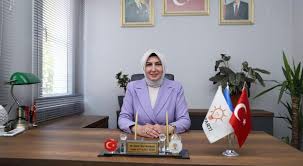 Milliyet - News update