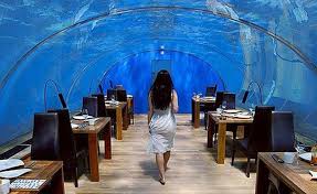 Image result for an underground hotel suites in dubai