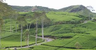 Hasil gambar untuk foto wisata bandung selatan ciwidey