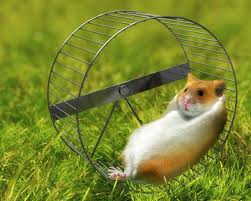 images?q=tbn:ANd9GcQjD7OVI38gMHSvEEMYi_vHLibZfZSua7pBdHFPnJVEjDKl4KUkNw