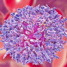 Oncology Nursing News - News update