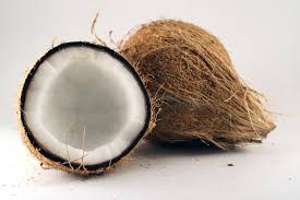 Image result for free images of coconuts and oil