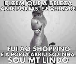 Resultado de imagem para anedotas do joãozinho porcas