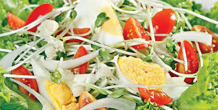 Image result for RAU MẦM CẢI XANH