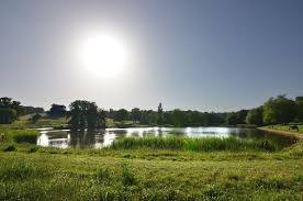 Picture of Hampstead Heath Ponds