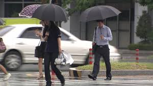 ZUM 뉴스 - News update