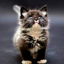 Агентство S&P подтвердило рейтинги России с "негативным" прогнозом - Цензор.НЕТ 2032