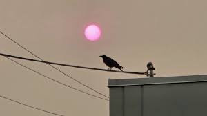 Here's when smoke is expected to clear out of the Portland area