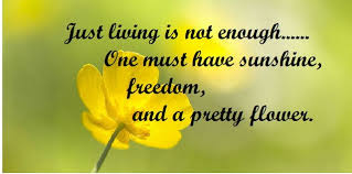 Top 25 Beautiful Flower Quotes | SayingImages.com via Relatably.com