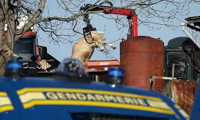 News source: Marianne