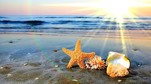 Image result for summer time