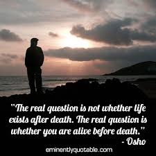 The Real Question Is Whether You Are Alive Before Death - ø ... via Relatably.com