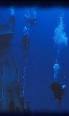 Giant fish discvered in Lake Tahoe while Diving -