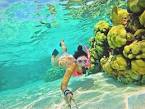 Images for underwater camera snorkeling