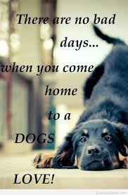 Best funny quotes images, funny sayings images 2015 2016 via Relatably.com