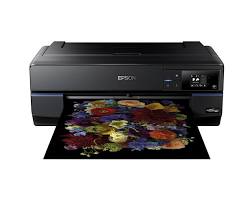 Epson SureColor P800 yazıcı resmi