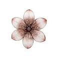 Metal Flower Wall Art -