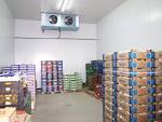 Camara de refrigeracion para frutas