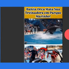 Estadão - News update