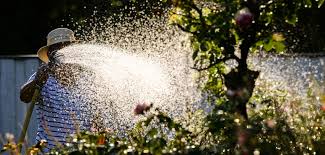 wasser
