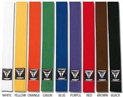 highest karate Dan belt colors