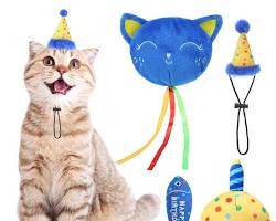 cat with a birthday hat and a presentの画像