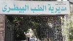أخبار حوادث طب بيطري الجيزة: