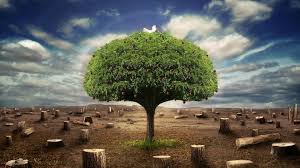 Image result for 3d hd wallpapers