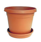 Flower pot images Ajman