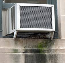 images?q=tbn:ANd9GcQki-whg-J13MLYy4J5Wgf