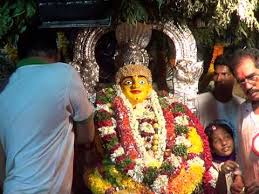 Image result for venkatagiri history