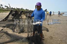 Derrame De Petróleo