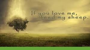 Image result for if you love me feed my sheep