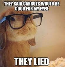Image result for Cute bunny pictures and sayings
