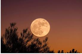 Une « microlune » devrait atteindre son apogée au-dessus du Royaume-Uni ce vendredi soir — voici l'heure exacte pour observer la Lune des Fleurs