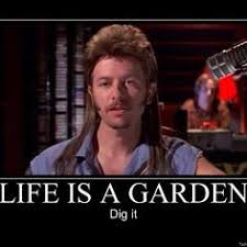 Quotes From Movie Joe Dirt. QuotesGram via Relatably.com