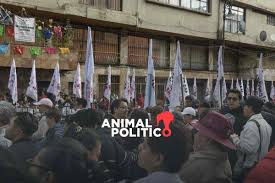 Animal Politico - News update