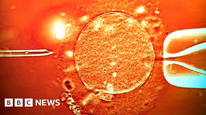 Donor’s Hidden Gene Mutation Sparks a Massive Cross-Border Fertility Scandal