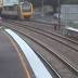 Budgie's rescue from Brisbane train tracks caught on camera