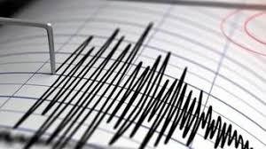 Temblor HOY en México: SSN registra un sismo de magnitud 4.1 en Allende, Veracruz | 20 de noviembre EN VIVO