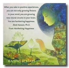 Raising ecstasy on Pinterest | Rumi Quotes, Twin Flames and Anais Nin via Relatably.com