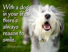 Image result for quotes about dogs and pets