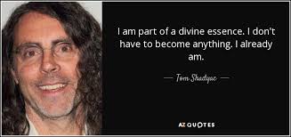 TOP 25 QUOTES BY TOM SHADYAC | A-Z Quotes via Relatably.com