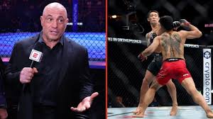 Joe Rogan loses his mind over ‘young Conor McGregor’ scoring face-plant KO at UFC 316